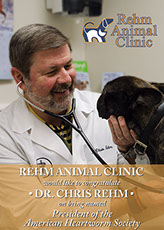 Picture of a poster for Rehm Animal Clinic. Photo for poster taken by Laurel.
